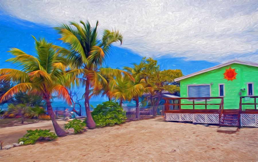 Conch Key Green Cottage with Sun Face Photograph by Ginger Wakem