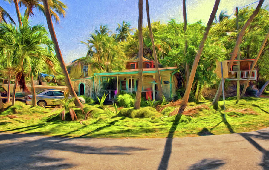 Conch Key House Photograph by Ginger Wakem