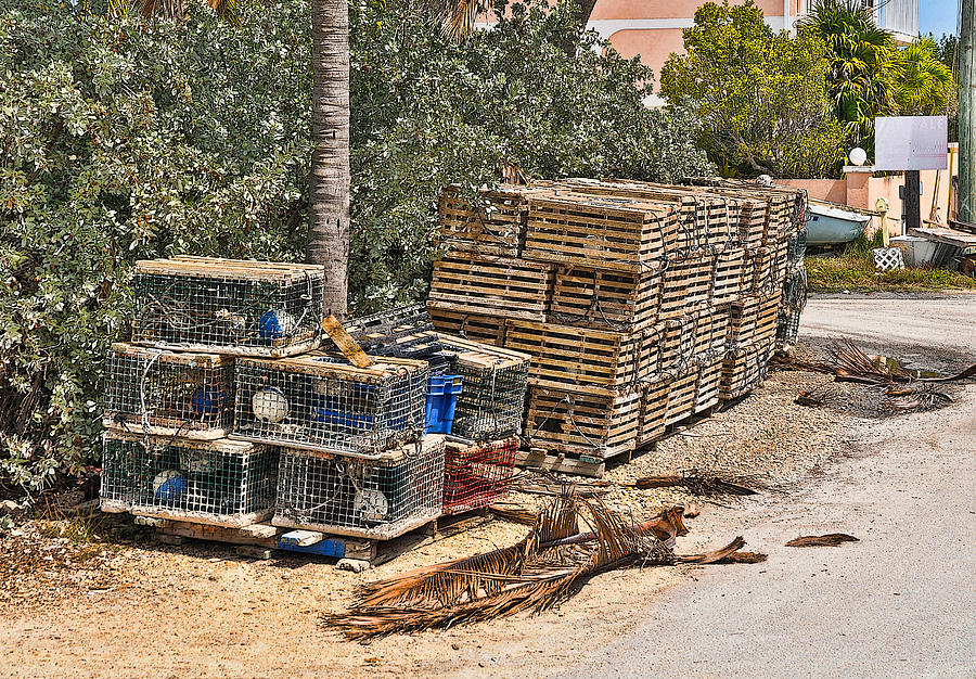 Conch Key Lobster Traps 1 Photograph by Ginger Wakem