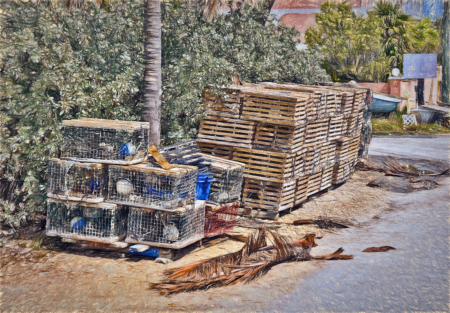 Conch Key Lobster Traps 3 Photograph by Ginger Wakem