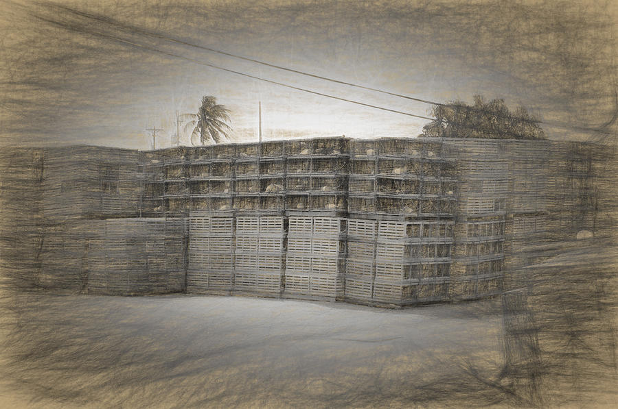 Conch Key Lobster Traps Stacked 3 Photograph by Ginger Wakem