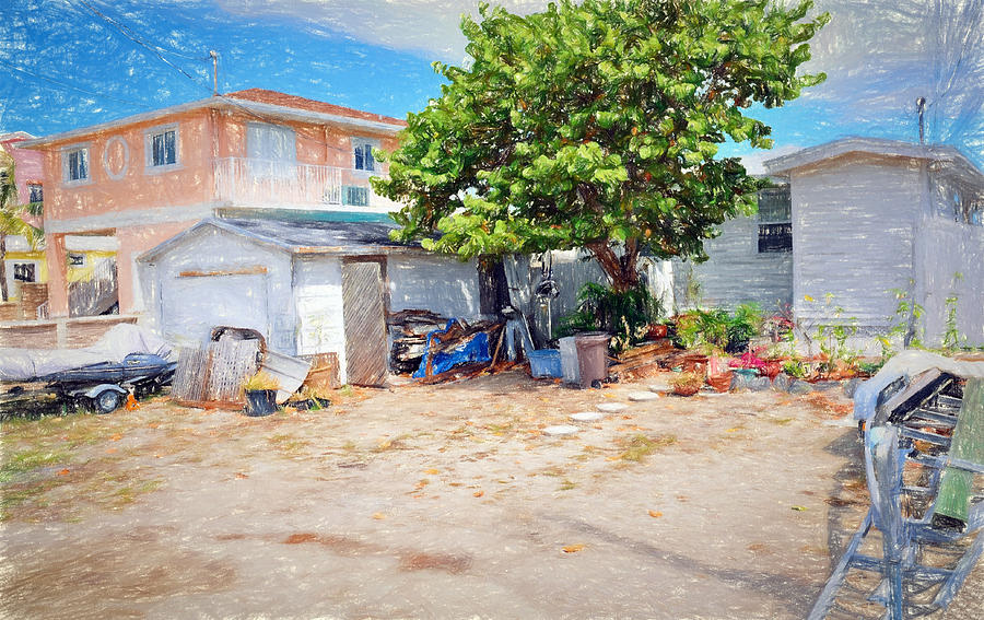 Conch Key Sea Grape Tree 5 Photograph by Ginger Wakem