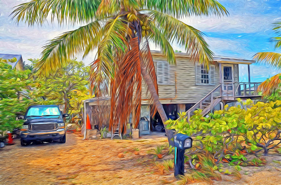 Conch Key White Cottage 4 Photograph by Ginger Wakem