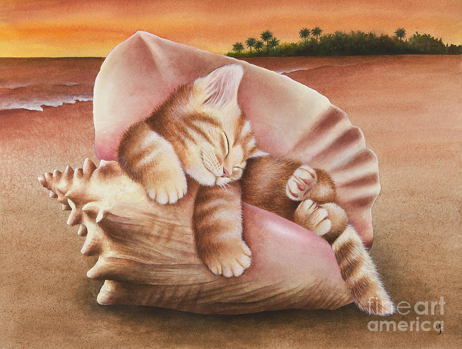 Sunset Painting - Conch Kitten by MGL Meiklejohn Graphics Licensing