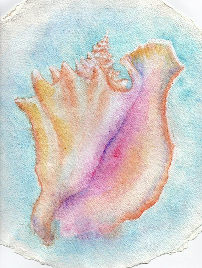 Conch Shell 2 Painting by Doris Blessington
