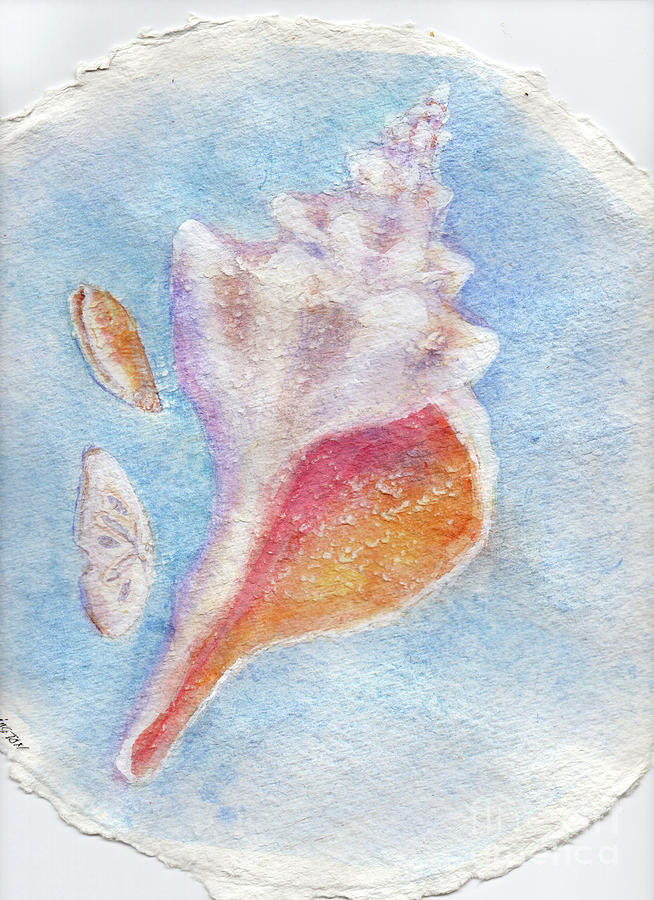 Conch Shell 3 Painting by Doris Blessington