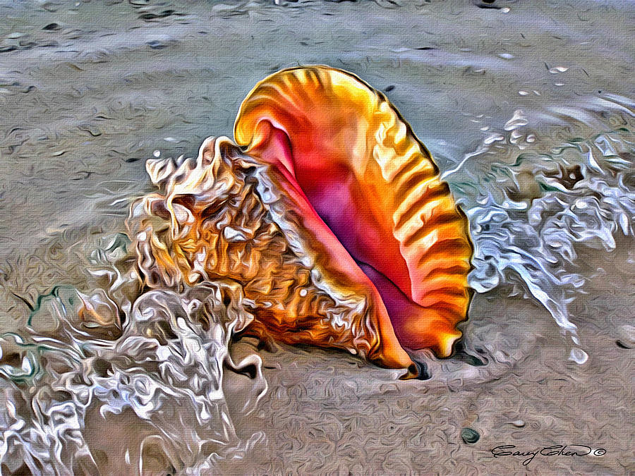 Conch Shell Digital Art by Anthony C Chen | Fine Art America