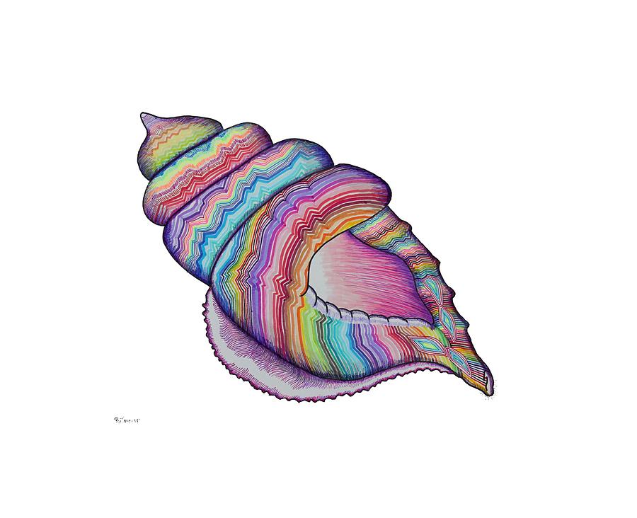 Conch Shell Drawing by Ru Tover Fine Art America