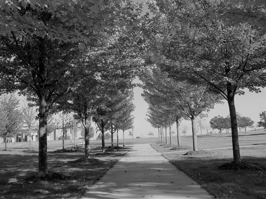 Concordia University Photograph by James Robillard