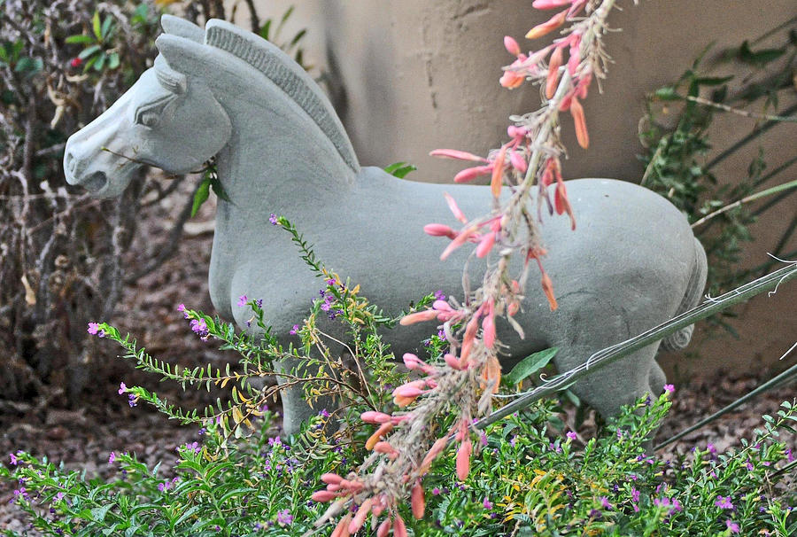 Concrete Horse In Garden Photograph by Jay Milo