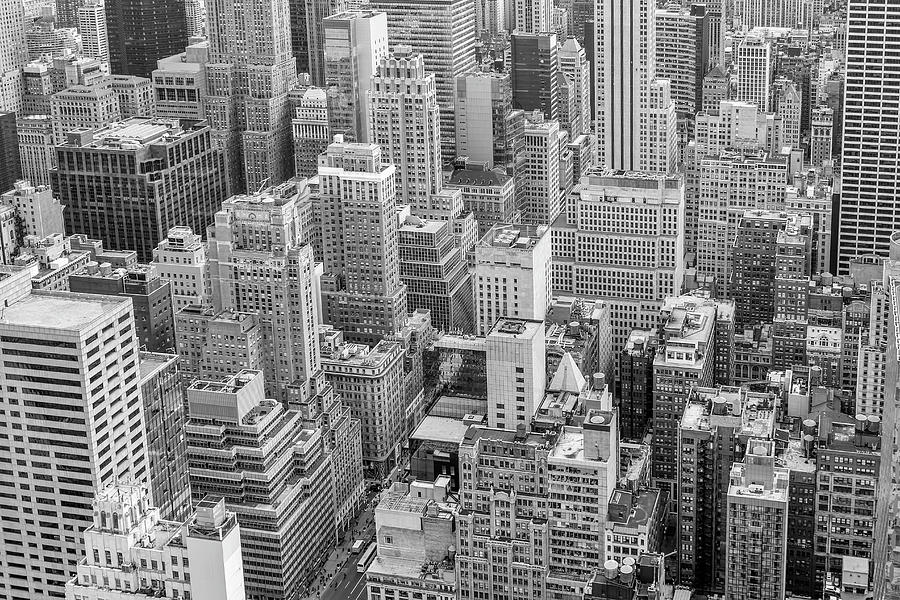 Concrete Jungle Photograph By Eric Wilmoth