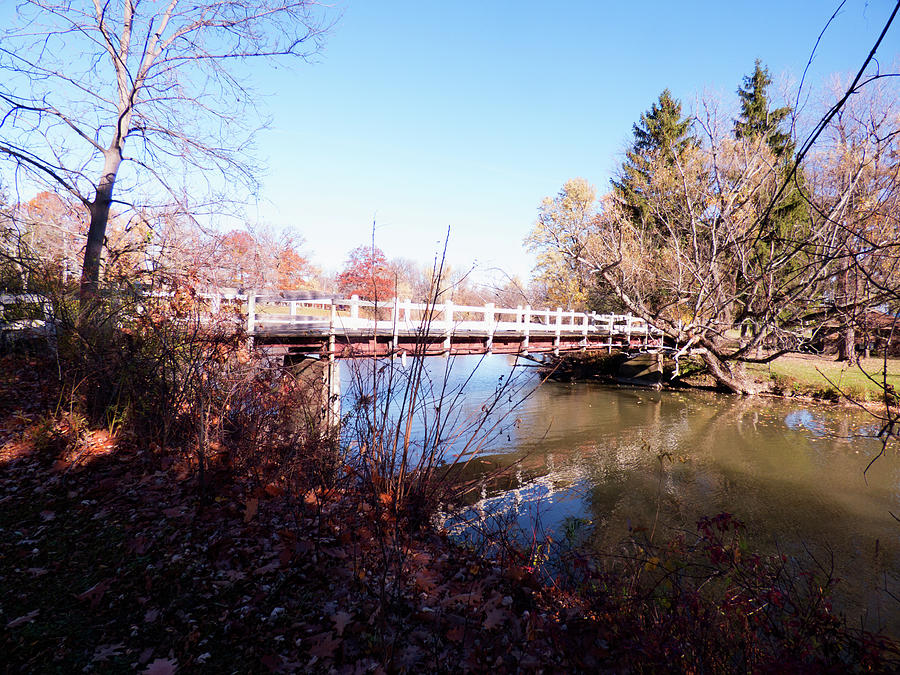 Ellicott Creek Park - Foot Bridge 2 Photograph by Leslie Montgomery