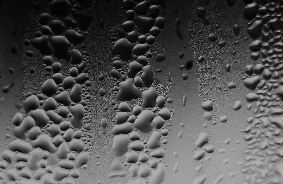 Condensation Photograph by Heidi Fickinger