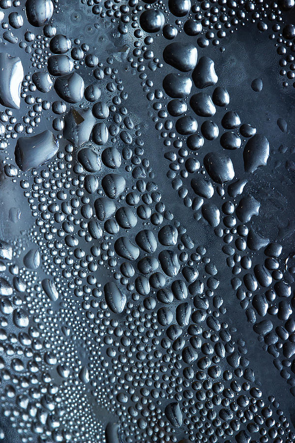 Condensation Photograph by Morgan Wright