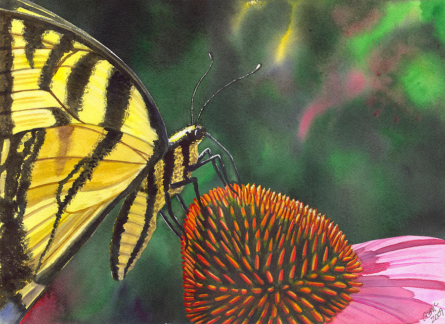 Butterfly Painting - Cone Flower by Catherine G McElroy