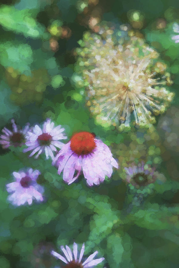 Cone flower in Dow Gardens 3 Painterly Photograph by Mary Bedy