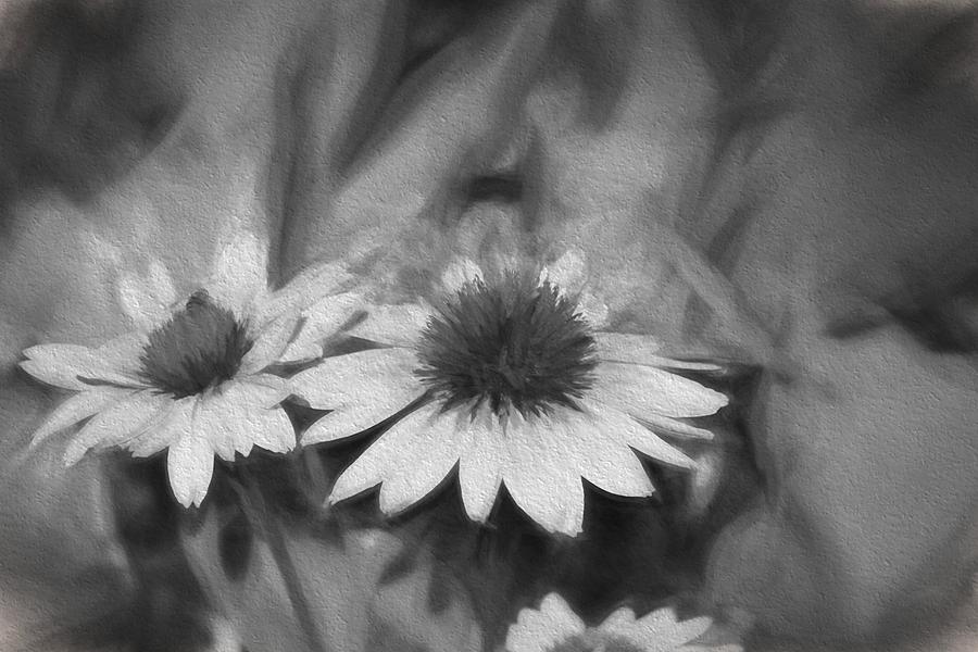 Cone Flowers in Black and White Painting by Renette Coachman