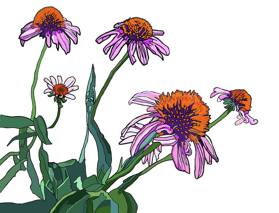 Cone Flowers Painting by Jamie Downs