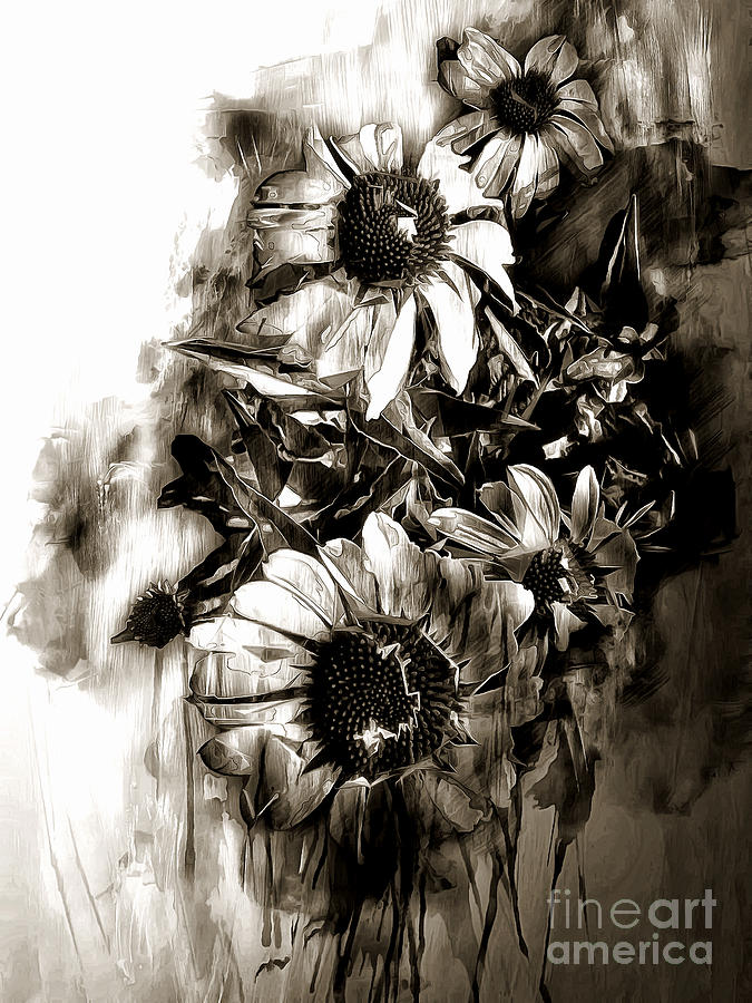 Coneflower Group BW I Photograph by Jack Torcello