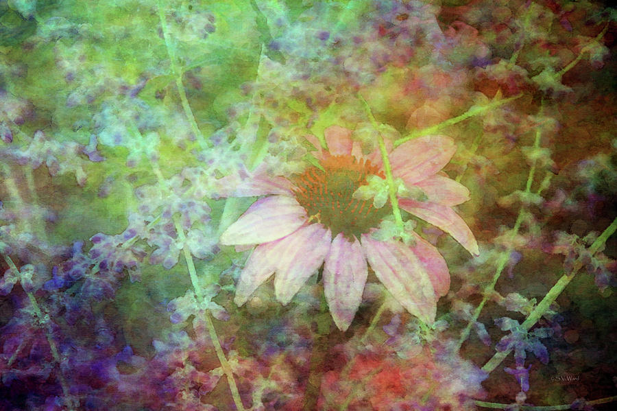 Coneflower In Sage 1059 Idp_2 Photograph