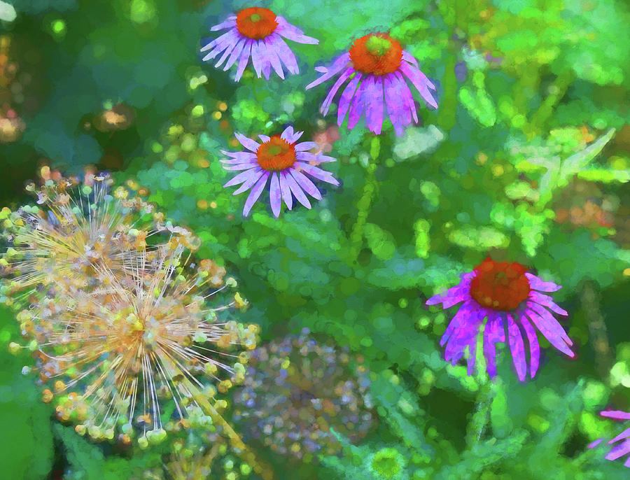 Coneflowers in Dow Gardens 2 Painterly Photograph by Mary Bedy