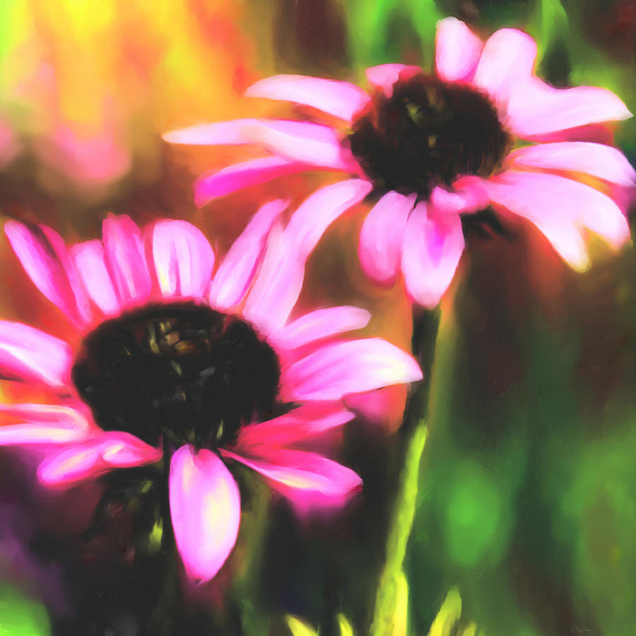 Coneflowers Digital Art by Sand And Chi
