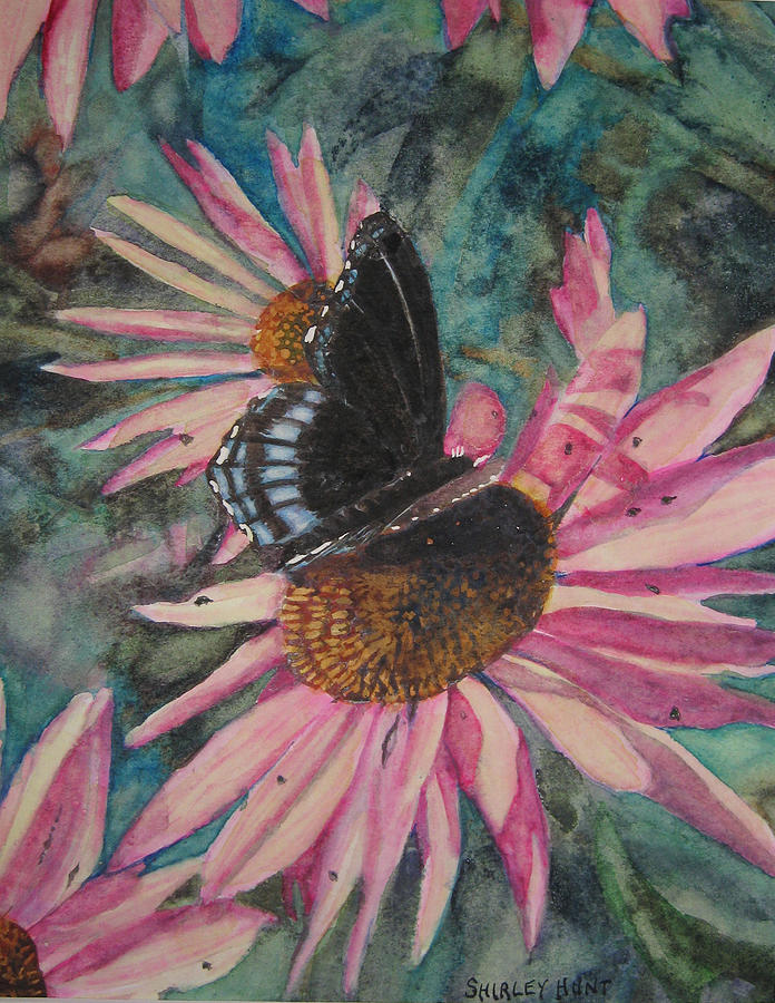 Coneflowers Painting by Shirley Braithwaite Hunt