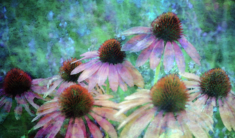 Coneflowers Twirling in Lavender 1666 IDP_2 Photograph by Steven Ward