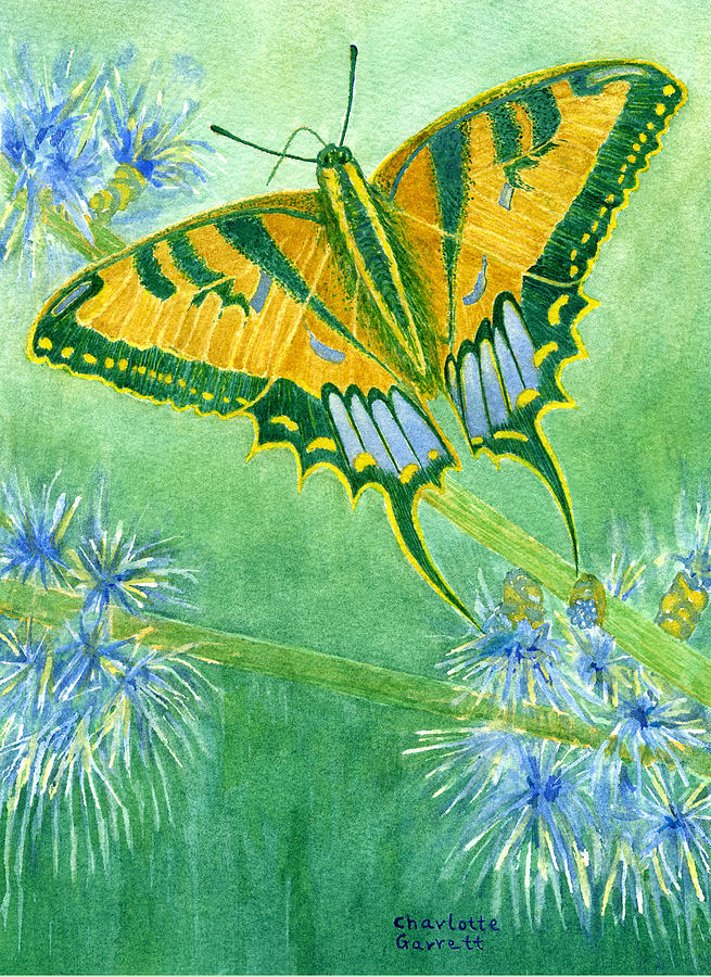 Confidence Butterfly by Charlotte Garrett Confidence Butterfly by Charlotte Garrett