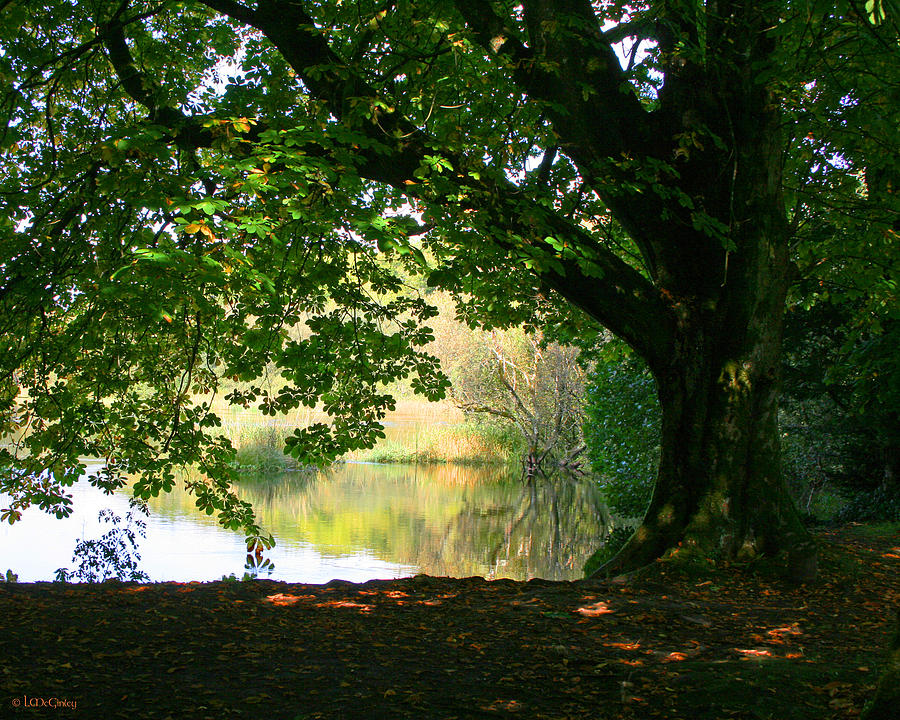 Cong Park by Laurie McGinley Cong Park by Laurie McGinley