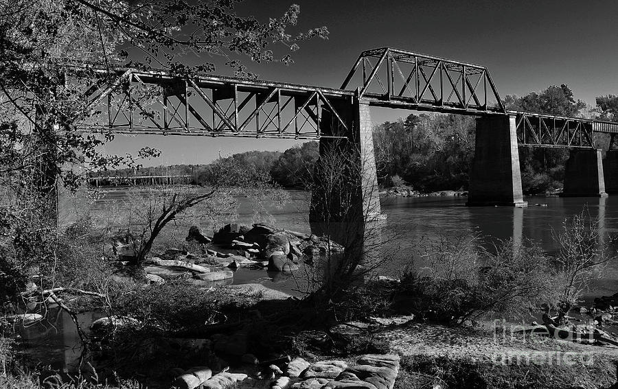 Congaree Black And White Photograph by Skip Willits
