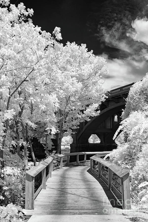 Bridge Photograph - Congaree River Boardwalk by Charles Hite