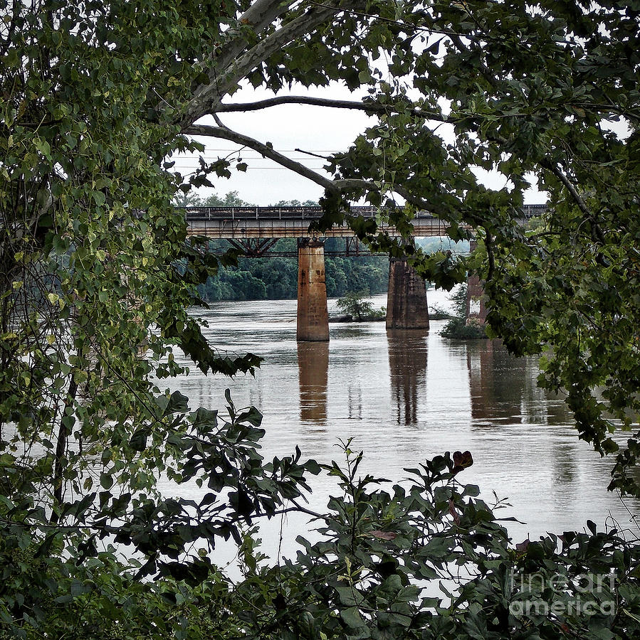 Congaree River Glimpse Photograph by Skip Willits