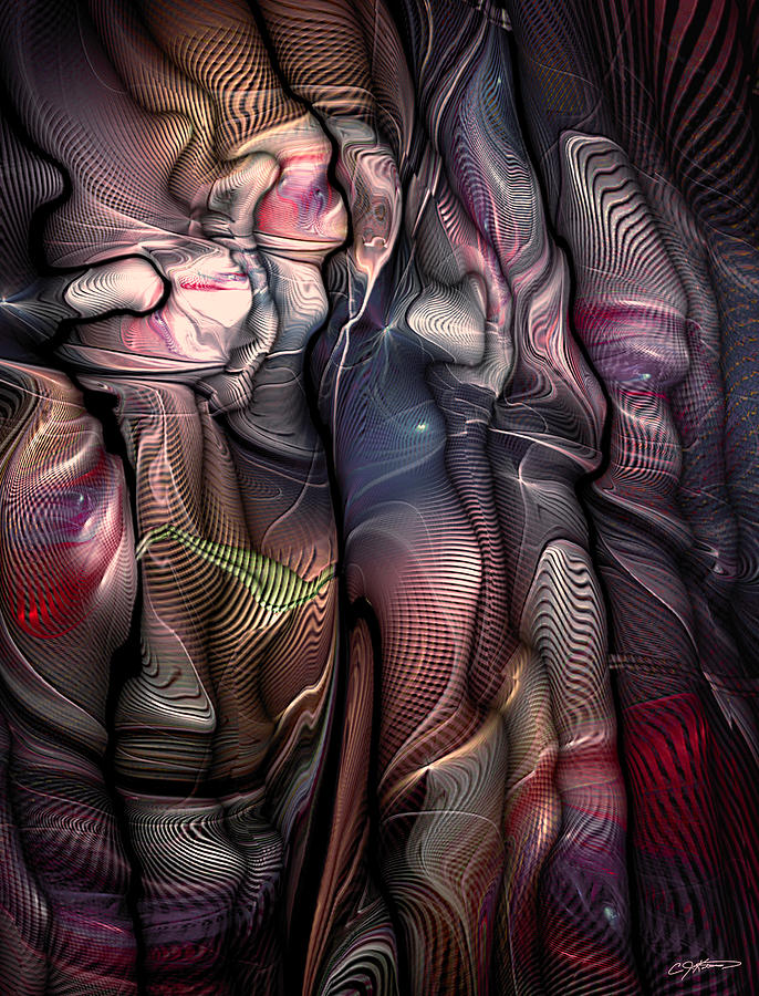 Congeries In Disarray Digital Art by Casey Kotas