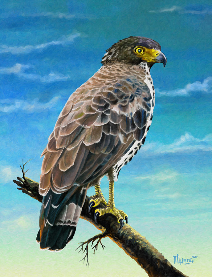 Congo Serpent Eagle Painting by Anthony Mwangi