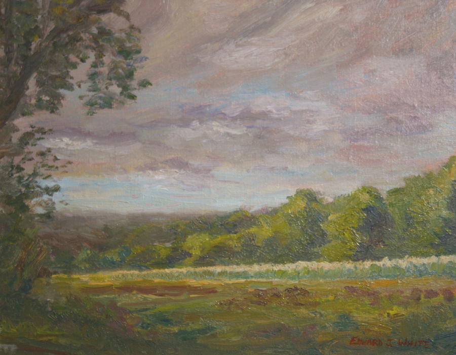 Connecticut Cornfield Painting by Edward White