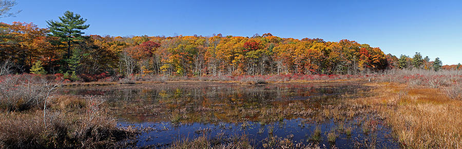 Connecticut Fall Foliage Photograph by Juergen Roth