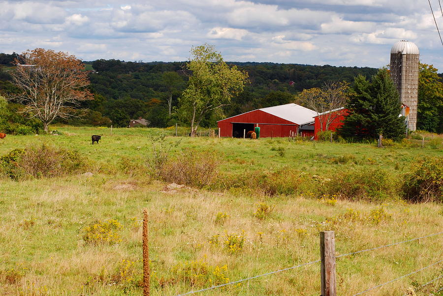 Connecticut Farm Photograph by Andrea Simon