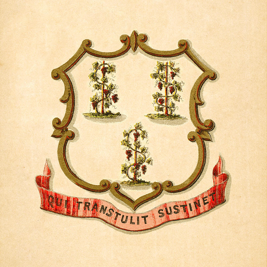Connecticut Historical Coat of Arms circa 1876 Digital Art by Serge Averbukh