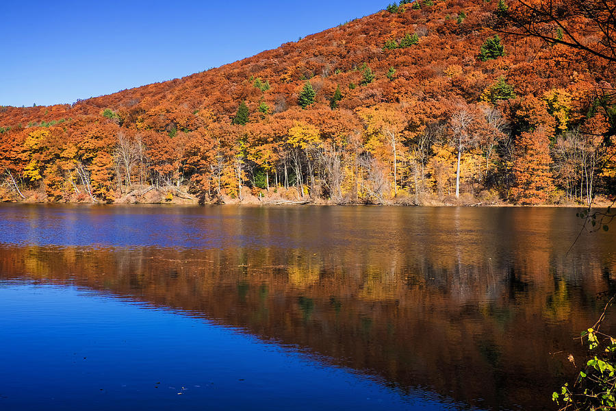 Connecticut River Autumn Photograph by Tom Singleton