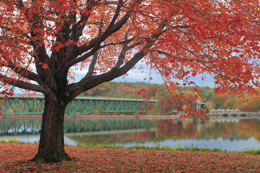 Connecticut River Fall Foliage at Turners Falls Photograph by John Burk