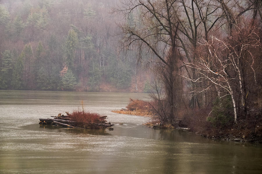 Connecticut River Mist Photograph by Tom Singleton