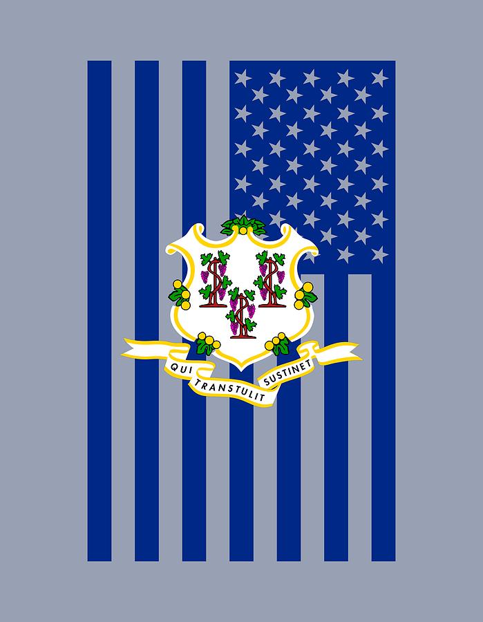 Connecticut State Flag Graphic USA Styling Digital Art by Garaga Designs
