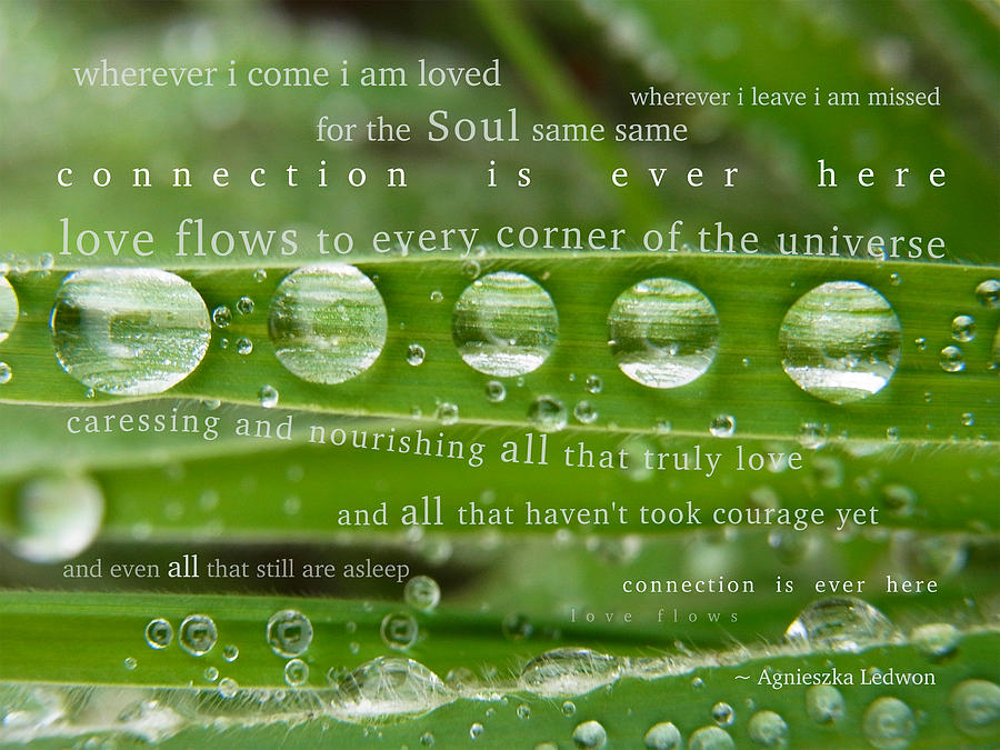Connection Is Ever Here by Agnieszka Ledwon Connection Is Ever Here by Agnieszka Ledwon