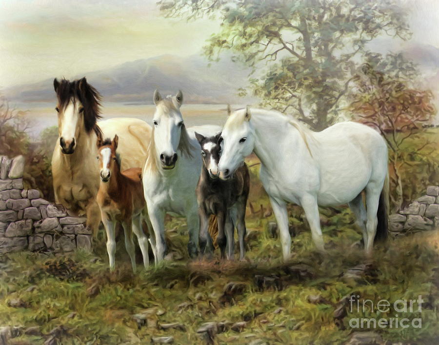 Connemara Ponies Digital Art