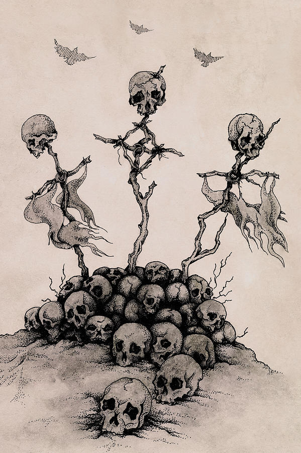 Skull Mixed Media - Conquest by Rebecca Magar