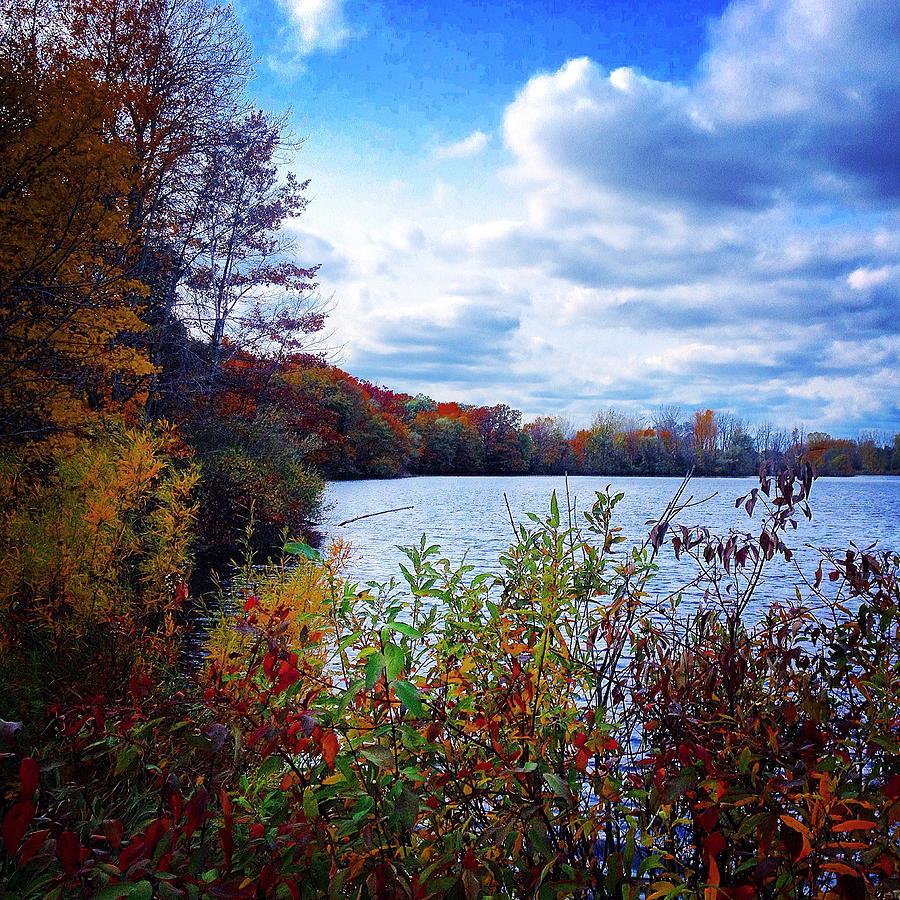 Conservation Park and Pine River in the Fall Photograph by Chris Brown