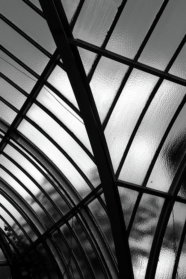 Conservatory Glass BW Photograph by Mary Bedy