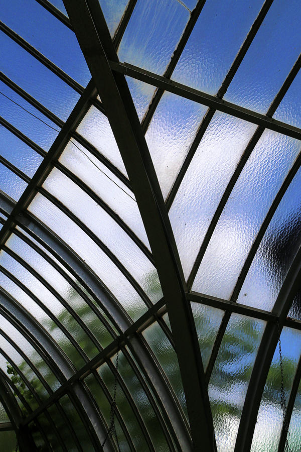 Conservatory Glass Photograph by Mary Bedy