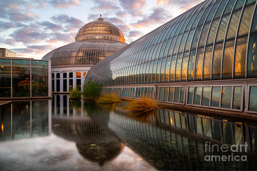 Conservatory Sunrise Photograph by Ernesto Ruiz
